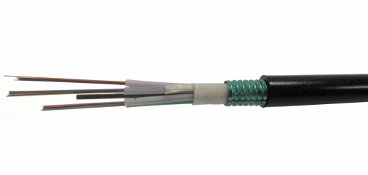 metal clad arXel wam bic.d cable